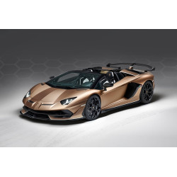 LAMBORGHINI SVJ