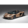LAMBORGHINI SVJ